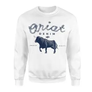 BULLET Denim Co Bull Rodeo T-Shirt 9 BULLET Denim Co Bull Rodeo T Shirt 3 1.jpg