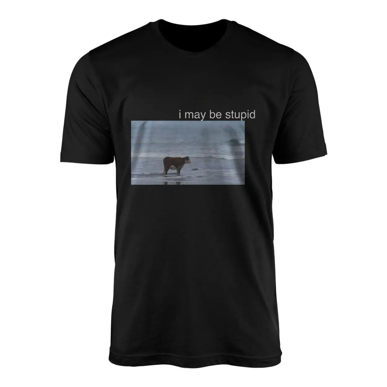 I May Be Stupid Cow Beach Funny T-Shirt 1 I May Be Stupid Cow Beach Funny T Shirt 1 1.jpg