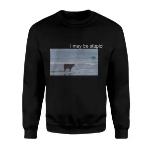 I May Be Stupid Cow Beach Funny T-Shirt 9 I May Be Stupid Cow Beach Funny T Shirt 3 1.jpg