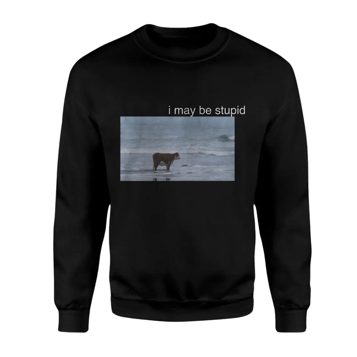 I May Be Stupid Cow Beach Funny T-Shirt 3 I May Be Stupid Cow Beach Funny T Shirt 3 1.jpg