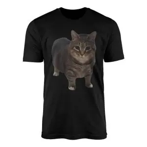 Black flat lay t-shirt featuring a cutout photo of a chubby brown tabby cat standing and staring forward
