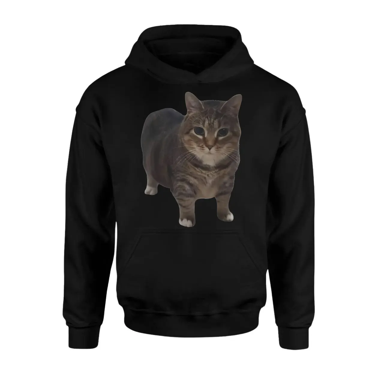 Chonky Cat Meme T Shirt 2 1.jpg