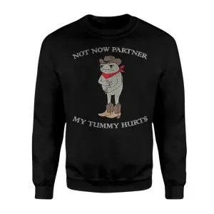 Not Now Partner My Tummy Hurts Funny Cowboy Frog T-Shirt 9 Not Now Partner My Tummy Hurts Funny Cowboy Frog T Shirt 3 1.jpg