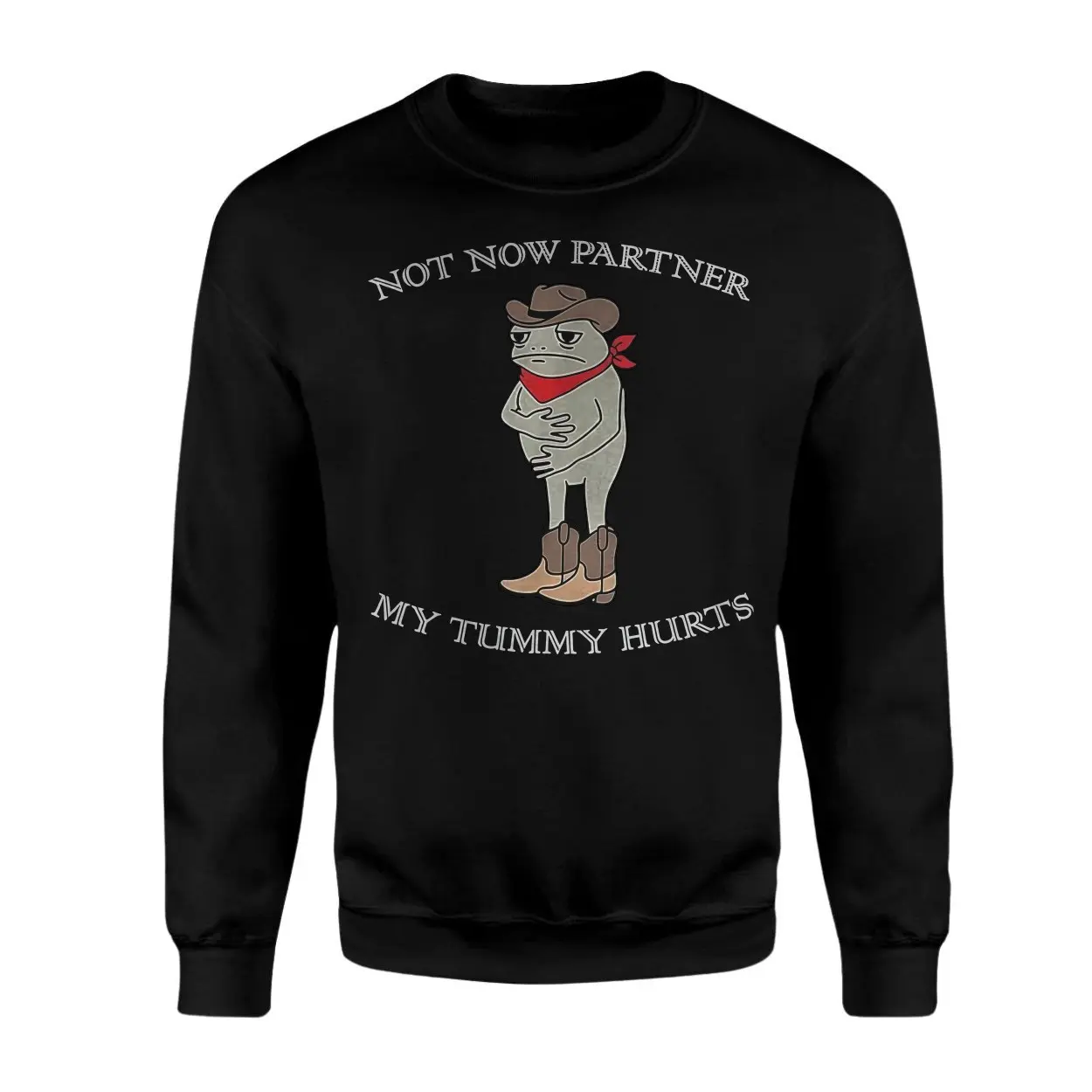 Not Now Partner My Tummy Hurts Funny Cowboy Frog T Shirt 3 1.jpg