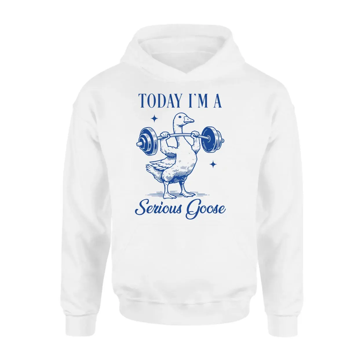 Today Im a Serious Goose Funny Gym T shirt 2 1.jpg