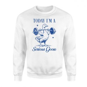 Today Im a Serious Goose Funny Gym T shirt 3 1.jpg