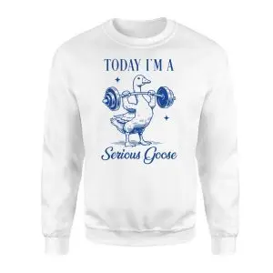 Today I'm a Serious Goose Funny Gym T-shirt 9 Today Im a Serious Goose Funny Gym T shirt 3 1.jpg