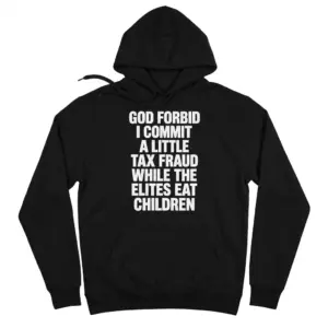 God Forbid I Commit A Little Tax Fraud Funny Satire T-Shirt 7 Flat-lay front view of a black hoodie featuring the sarcastic God Forbid I Commit A Little Tax Fraud statement