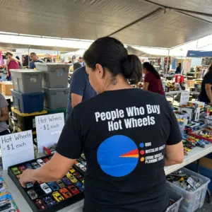 People Who Buy Hot Wheels Pie Chart Funny T-Shirt 10 Close-up casual look showcasing black tee and black tee back print reading People Who Buy Hot Wheels above a colorful pie chart joke