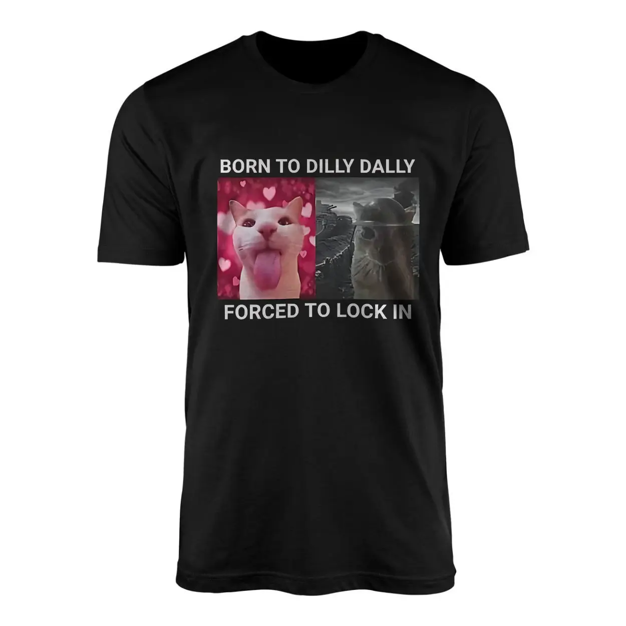 Born to Dilly Dally Cat Meme T-Shirt 1 Born to Dilly Dally Cat Meme T Shirt 1 2 1.jpg