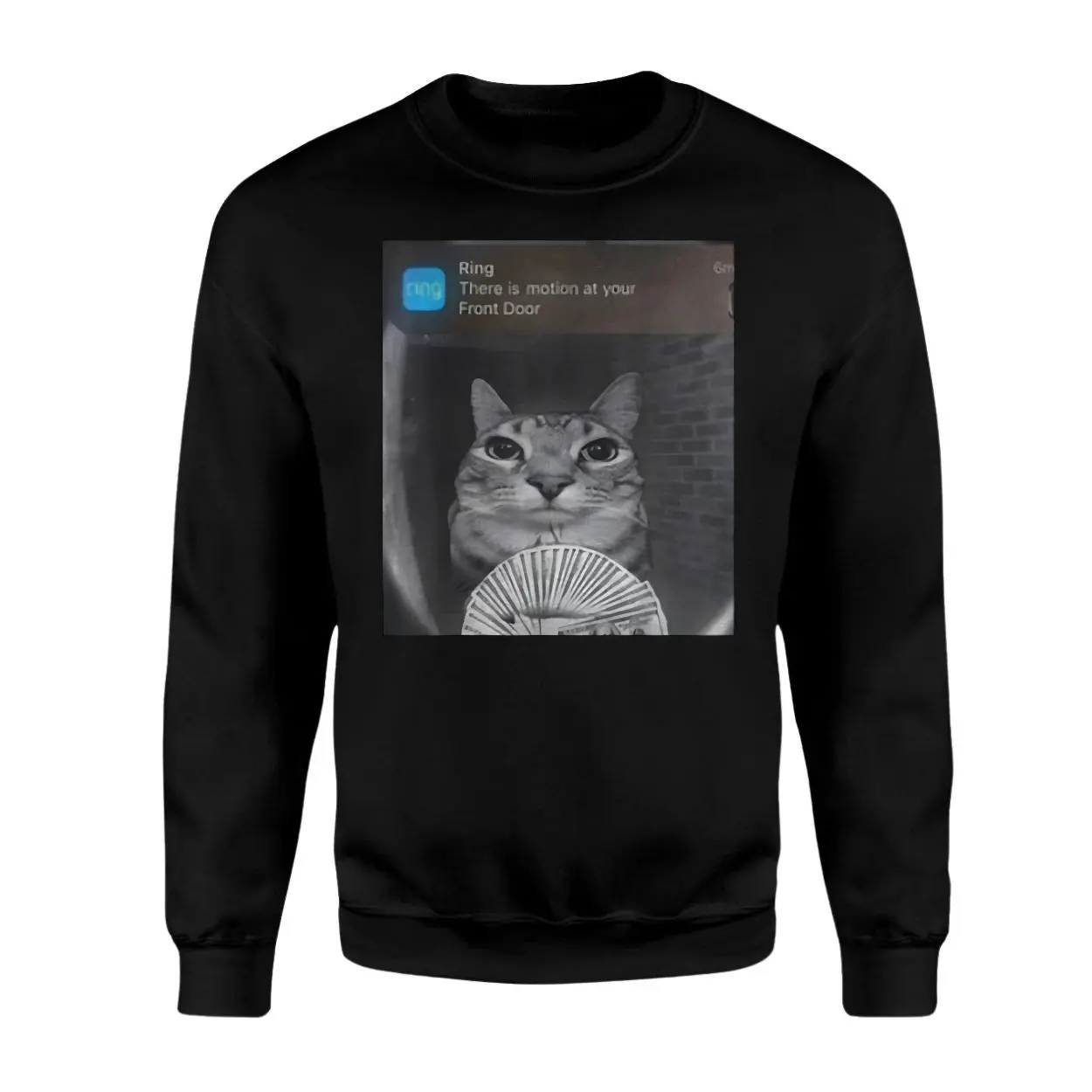Cat Life T Shirt Funny Cat Lover Tee Cute Casual Style 3 1.jpg