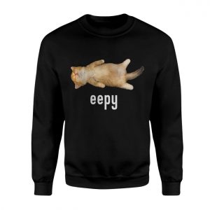 Eepy Sleepy Funny Cat T Shirt 3 1.jpg