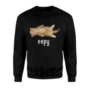 Eepy Sleepy Funny Cat T-Shirt 9 Eepy Sleepy Funny Cat T Shirt 3 1.jpg