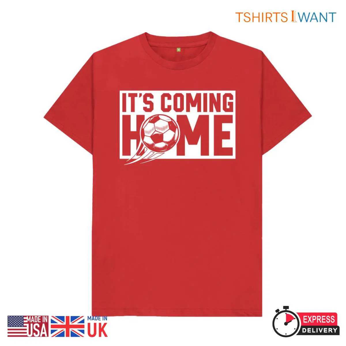 Euro 2024 Celebrating the Winners Vintage T Shirts 2 1.jpg