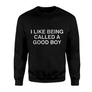 Funny T Shirt E28093 I Like Being Called a Good Boy Tee 3.jpg