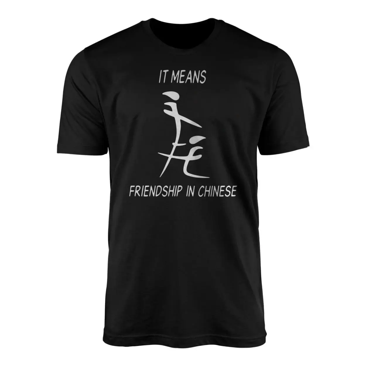 It Means Friendship In Chinese Funny Adult Humor T-Shirt 1 It Means Friendship In Chinese Funny Adult Humor T Shirt 1 1.jpg