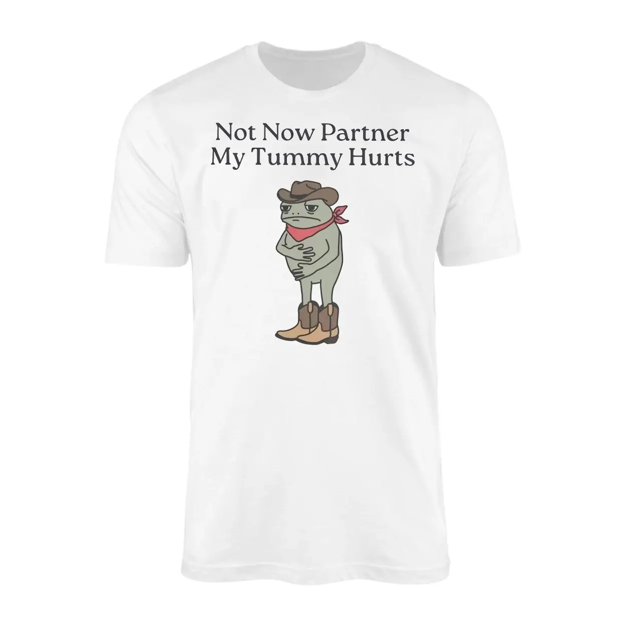 Not Now Partner My Tummy Hurts E28093 Funny Cowboy Frog Meme Graphic T shirt 1.jpg