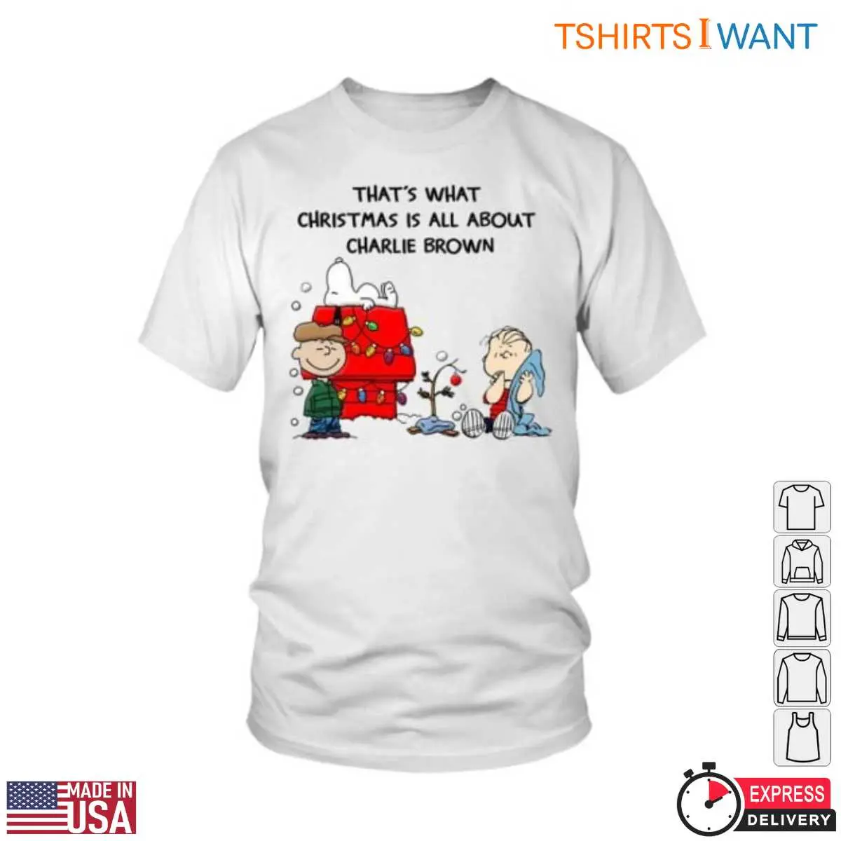 Peanuts Charlie Brown Christmas True Holiday Message 1 1.jpg