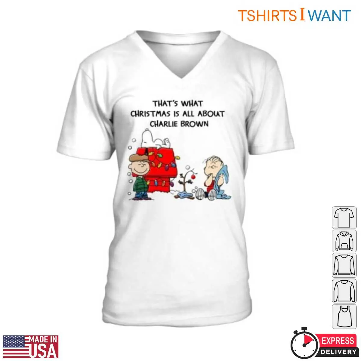 Peanuts Charlie Brown Christmas True Holiday Message 2 1.jpg