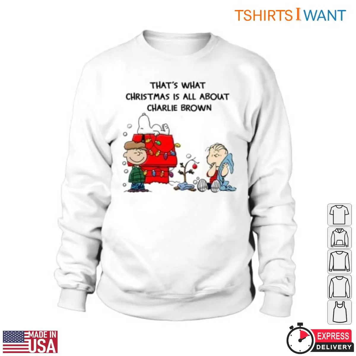 Peanuts Charlie Brown Christmas True Holiday Message 3 1.jpg