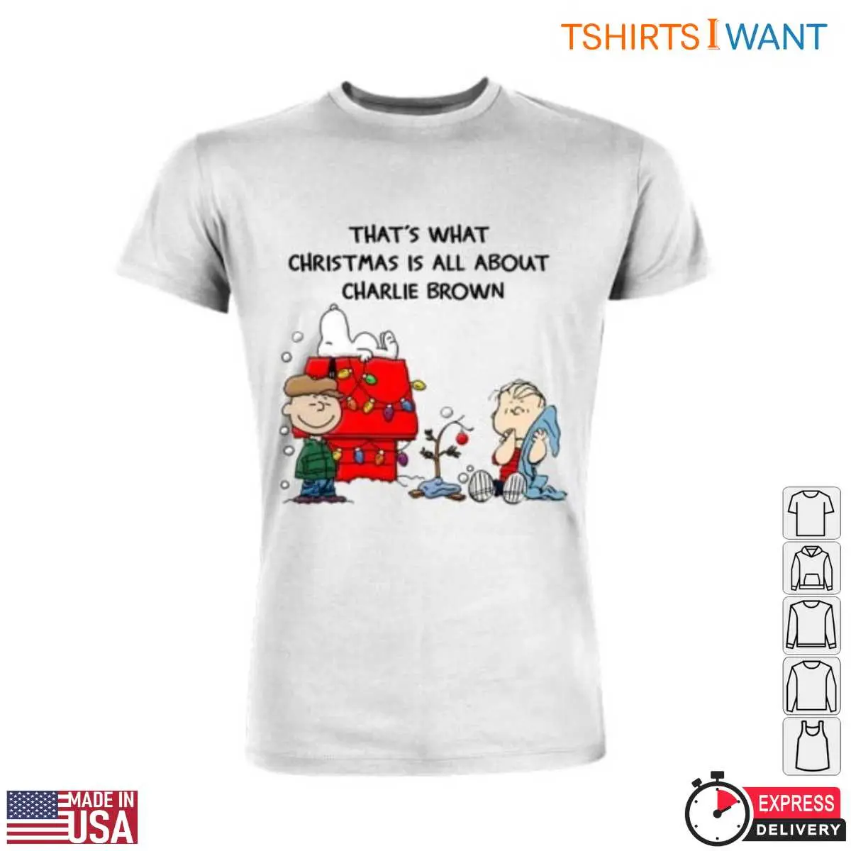 Peanuts Charlie Brown Christmas True Holiday Message 5 1.jpg