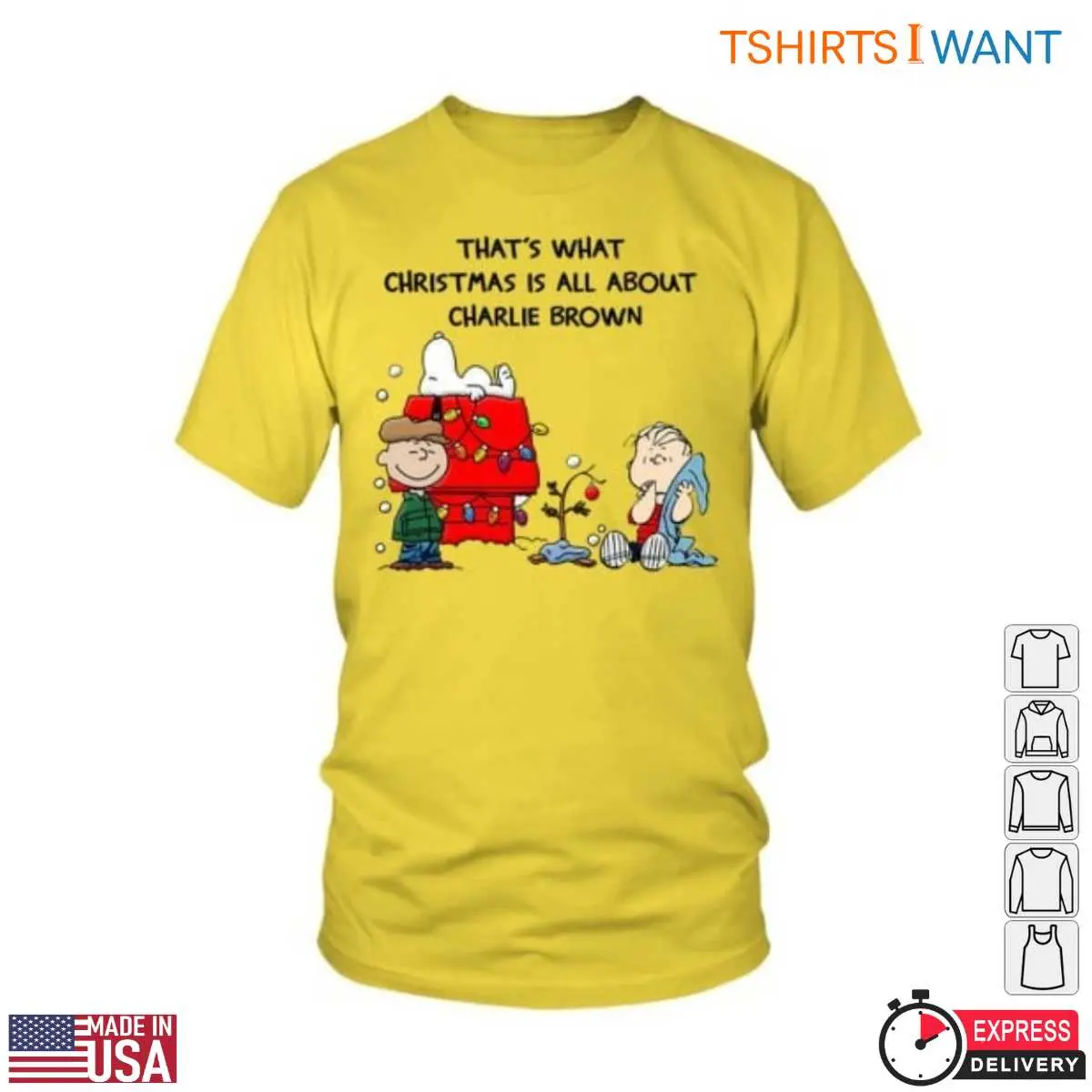 Peanuts Charlie Brown Christmas True Holiday Message 6 1.jpg