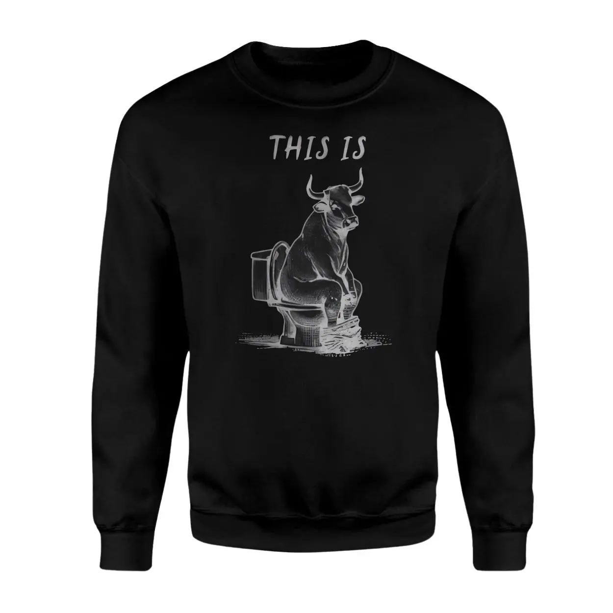 This Is Bull Funny Toilet Humor Graphic T Shirt 3 1.jpg