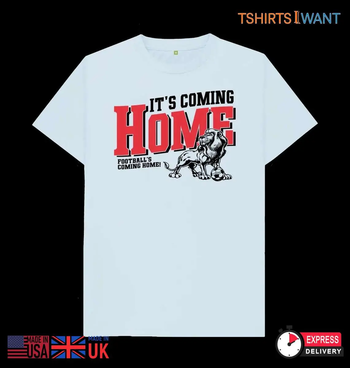 Three Lions Coming Home European Football Champions 2 1.jpg