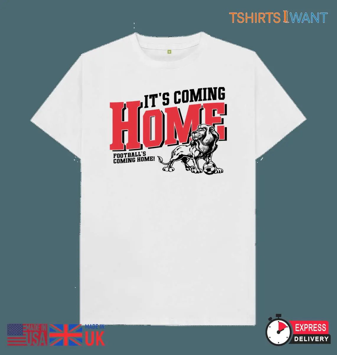 Three Lions Coming Home European Football Champions 3 1.jpg